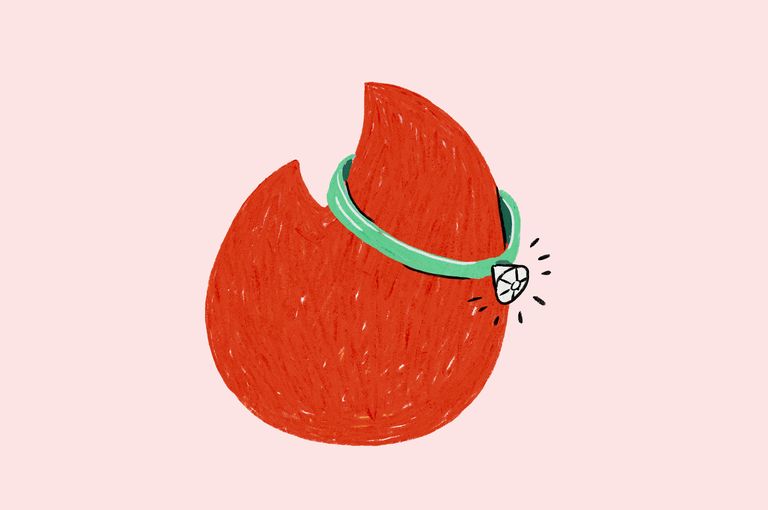 Orange, Red, Fruit, Illustration, Grapefruit, Logo, Watermelon, Plant, Melon, Graphics, 