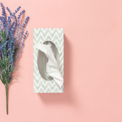 Tissue box and blue lavender on pink background