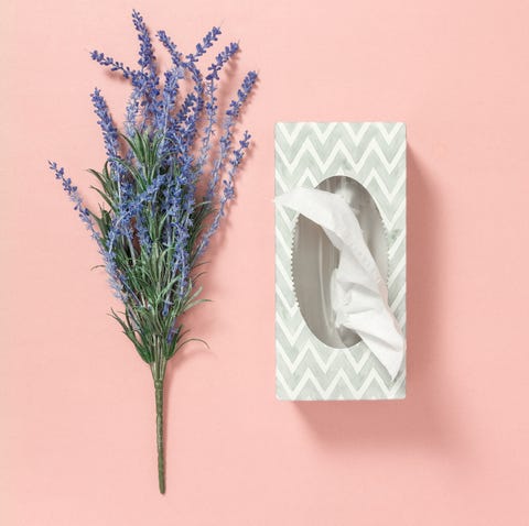 Tissue box and blue lavender on pink background