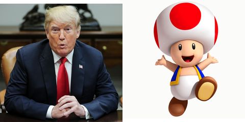 Big Mushroom Cock Gallery - Stormy Daniels Says Donald Trump's Penis Looks Like a ...