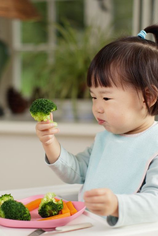 toddler girl eating  healthy  vegetable sitting on high chair beside a dinner table at home