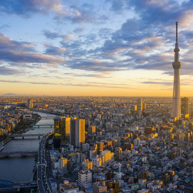 aerial view by drone of tokyo cityscape with tokyo sky tree visible in tokyo city, japan on sunrise