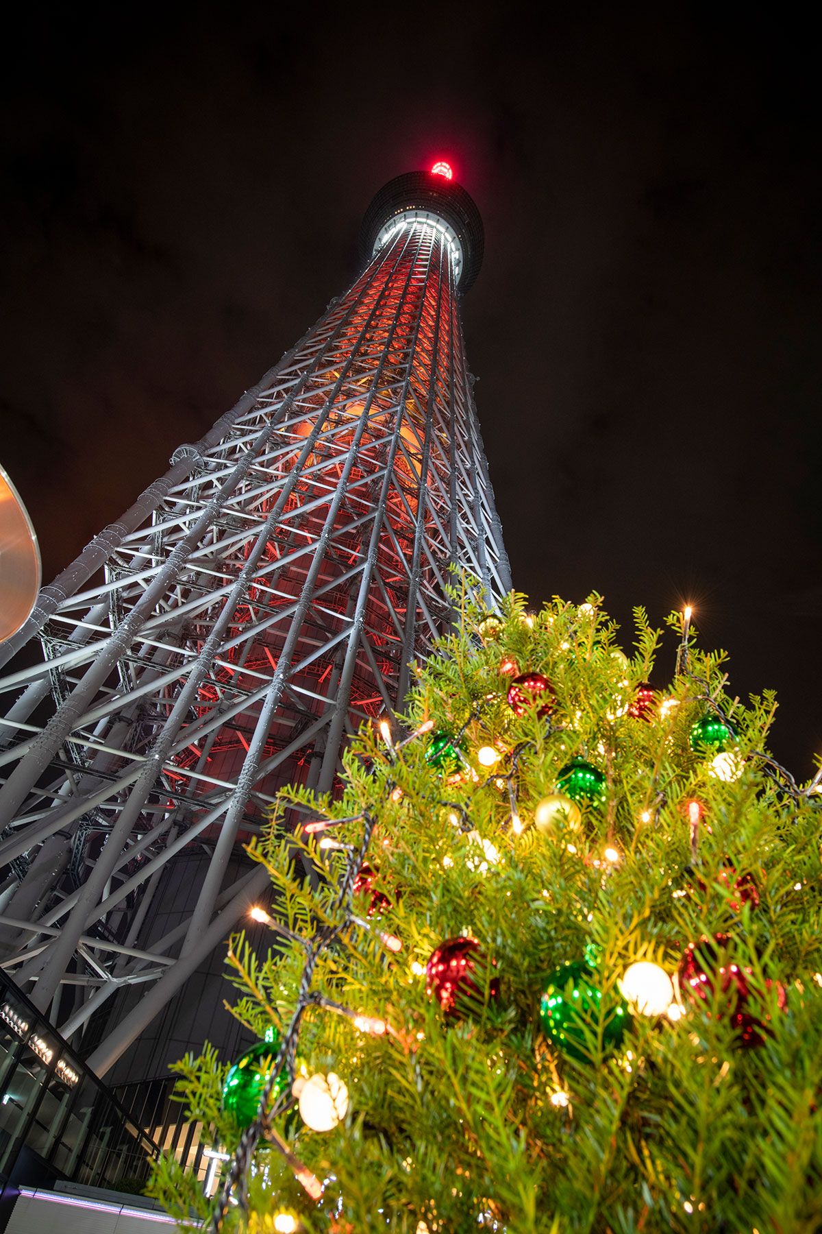 は希望に満ちた光 東京近郊で見逃せないクリスマスイルミネーション