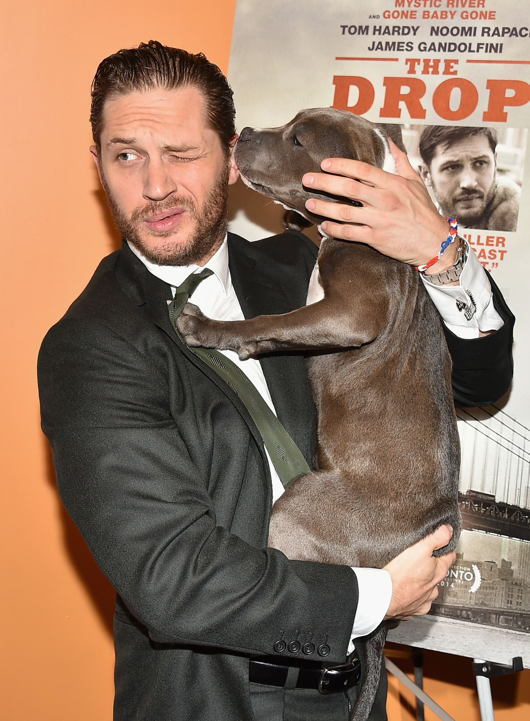 2207px x 3000px - Celebrity Dogs - A Series Of Celebrities And Their Pets