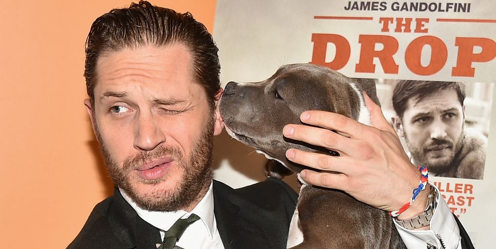 Tom Hardy being licked by his dog