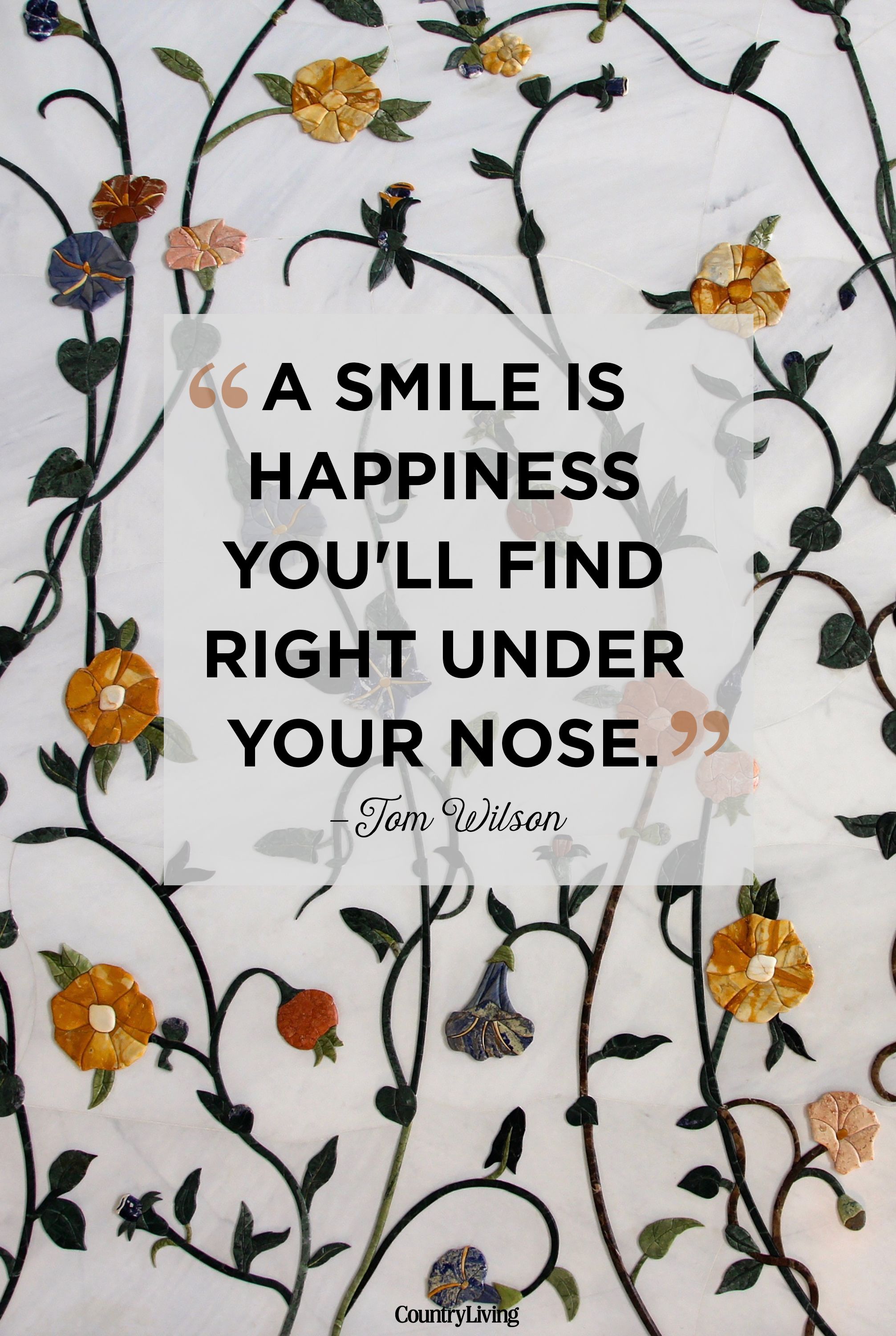 25 Cute Smile Quotes Best Quotes That Will Make You Smile