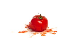 Pomodoro fracassato Pomodoro fracassato