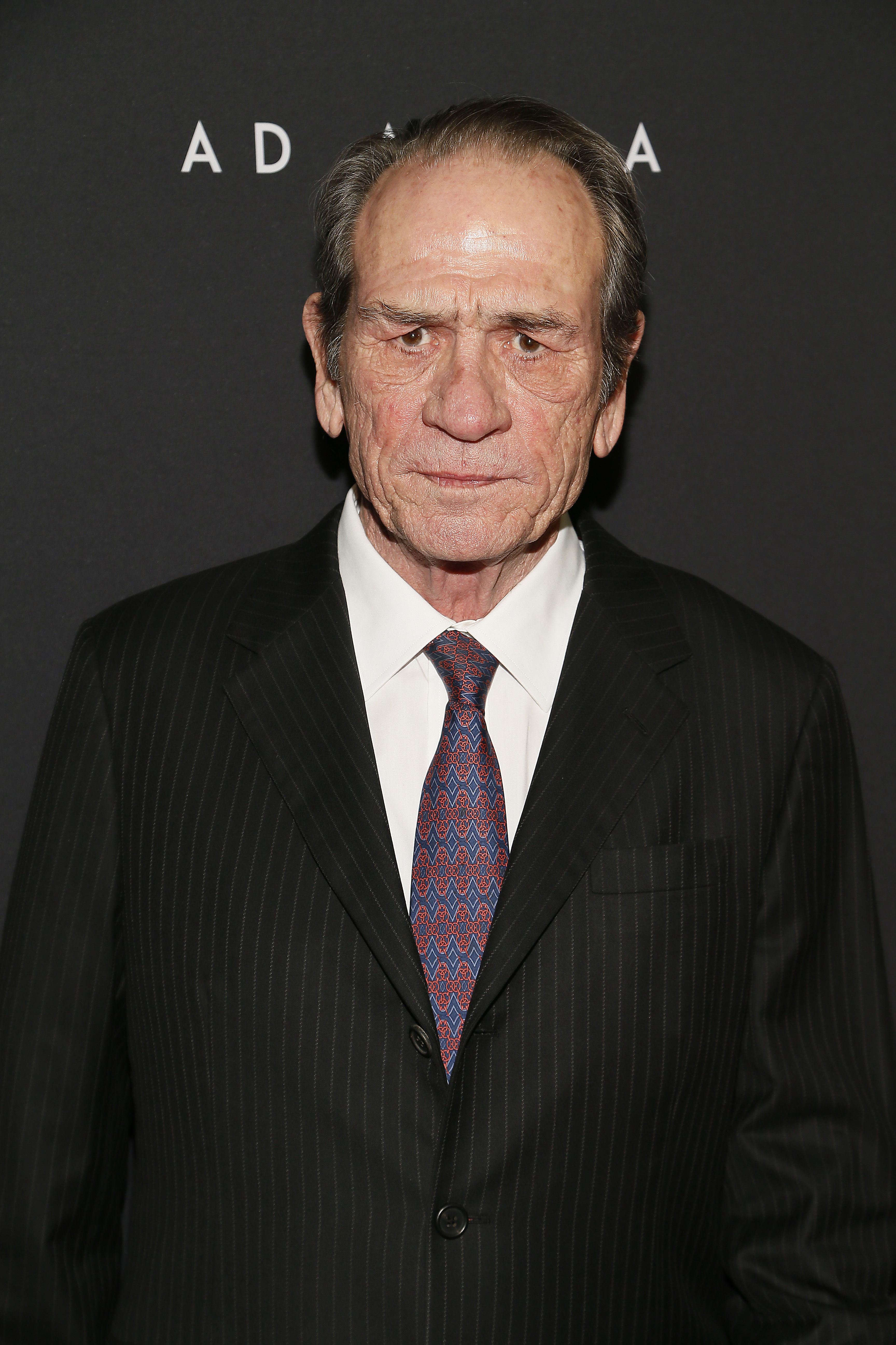 Arriba 81+ imagen harrison ford tommy lee jones - Thptnganamst.edu.vn