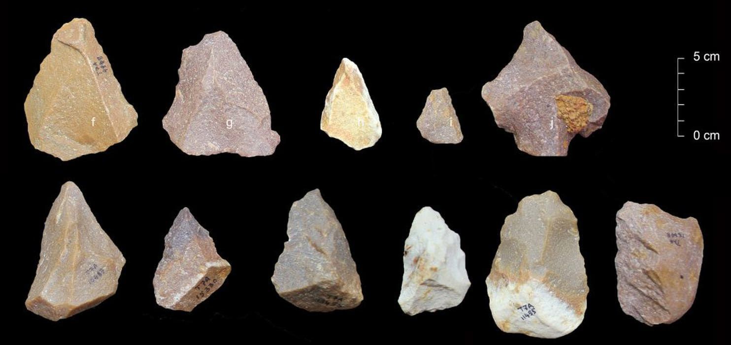 New Discovery Of Ancient Tools Complicates Our Story Of Human Evolution