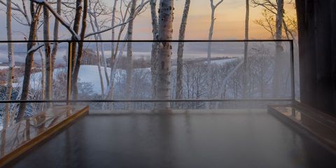 Water, Reflection, Tree, Sky, Winter, Wood, Window, Architecture, Glass, Floor, 