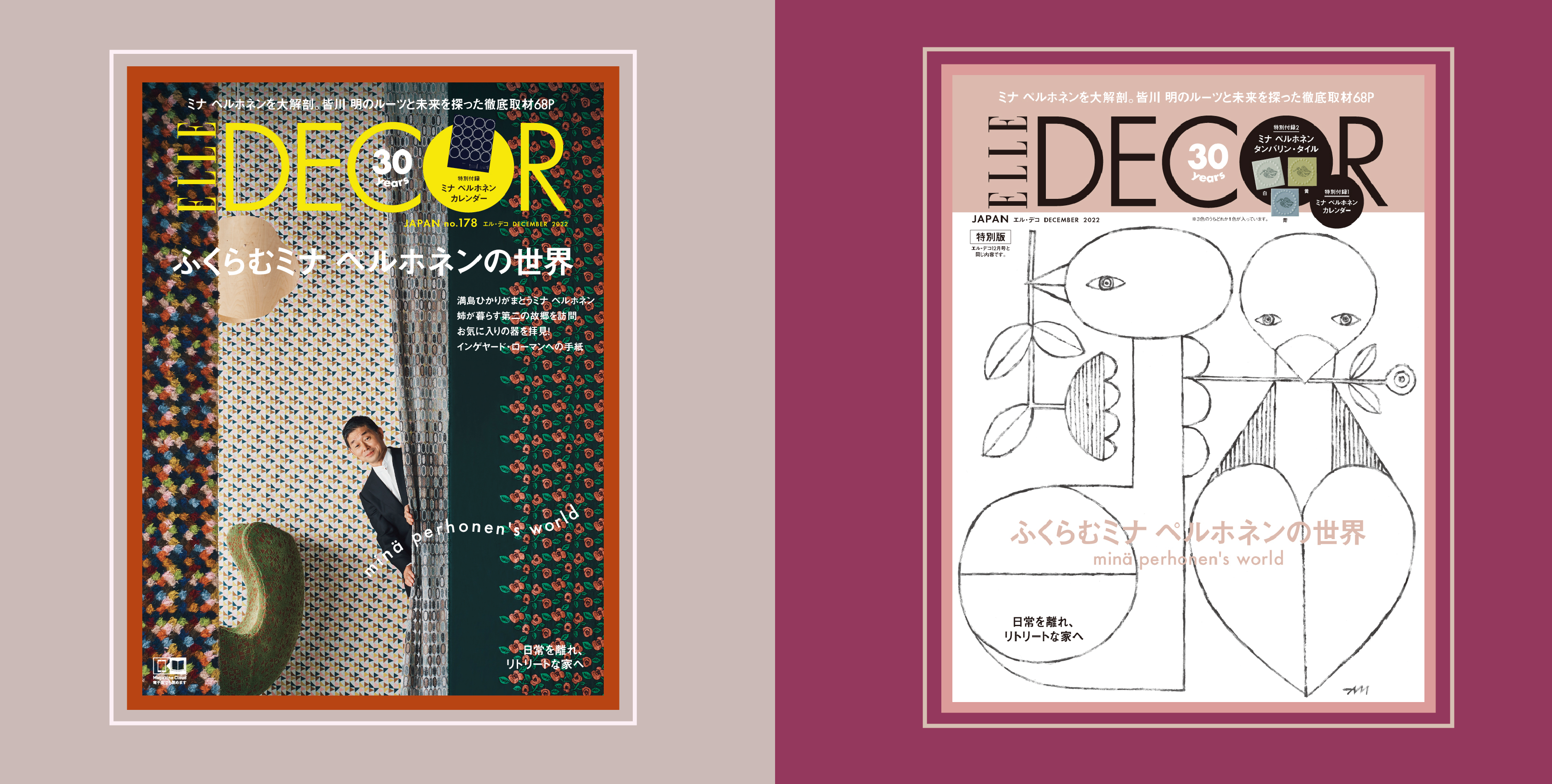 エルデコ 特別版 2022年12月号 ミナペルホネン タイルなし