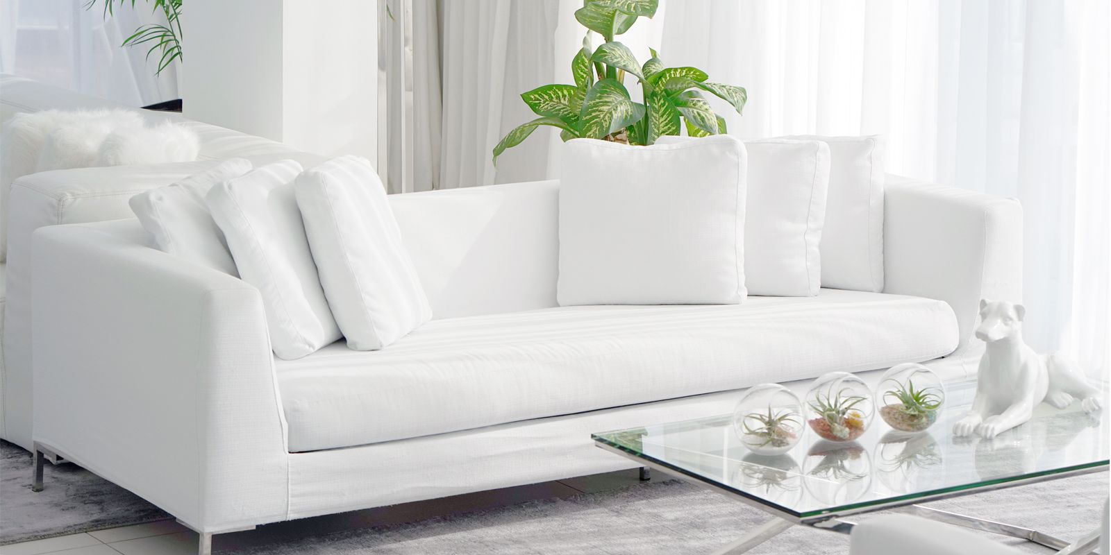 白いソファを白く保つためのお手入れ方法 Elle Decor エル デコ