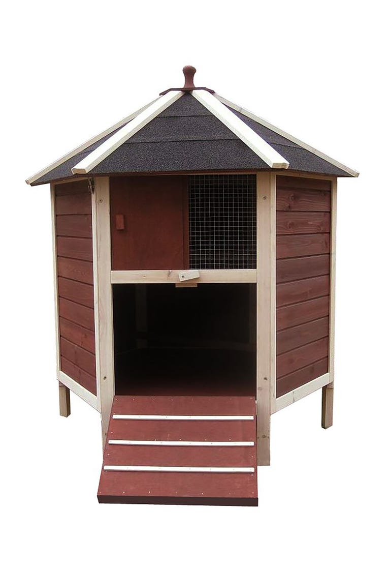 Chicken coops that hold 10 chickens Chickens