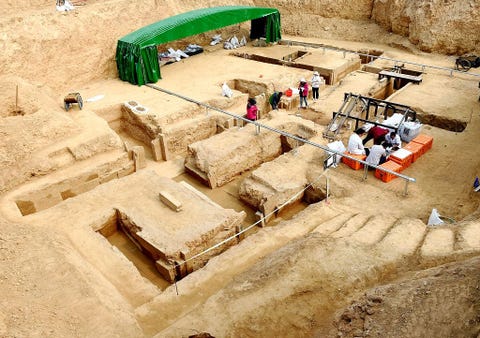 inmortalidad image