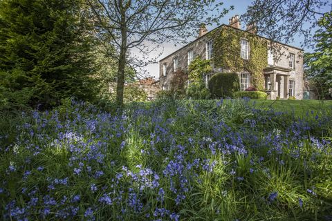 Trafalgar House - Country Durham - garden - Savills