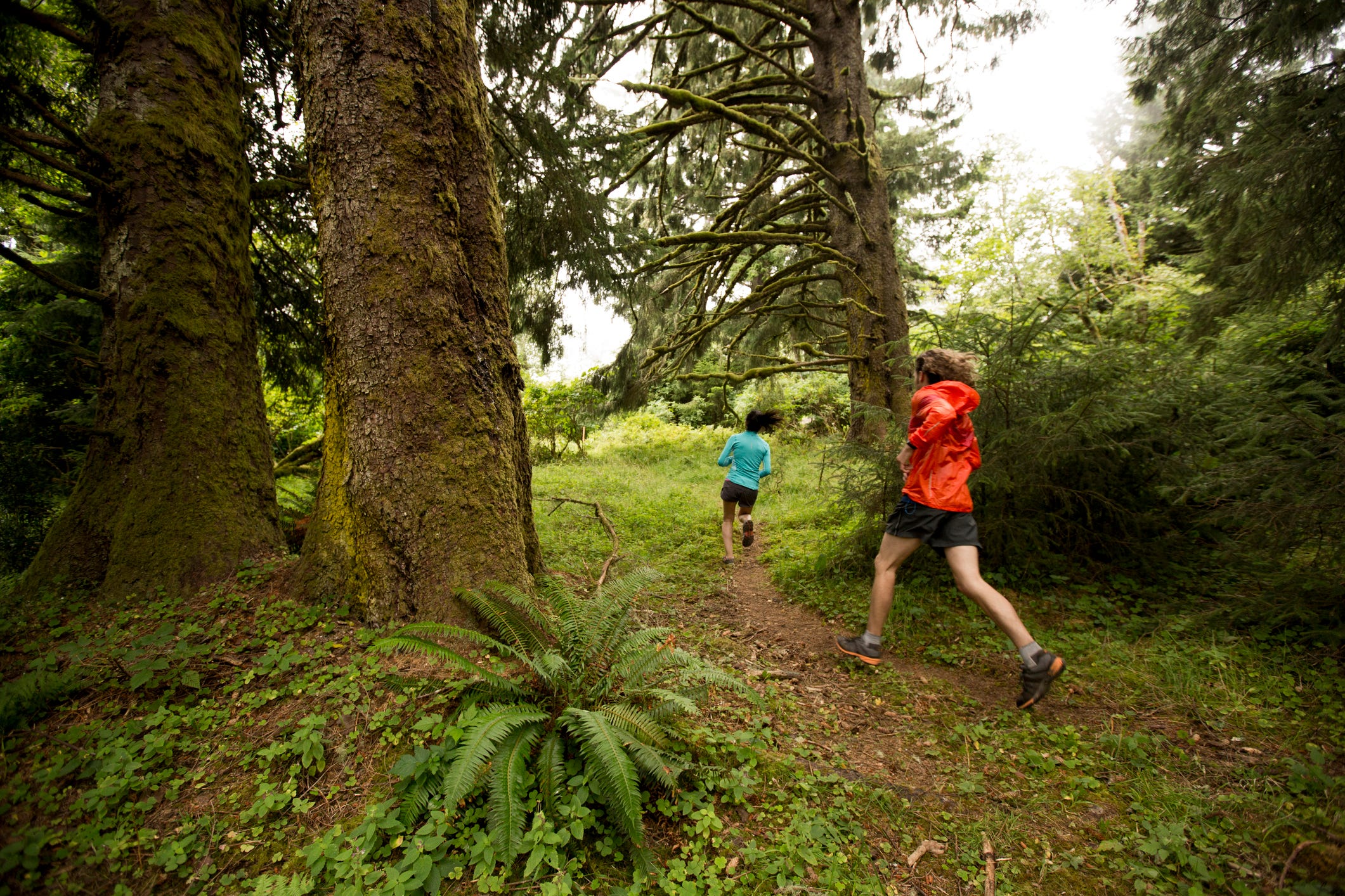 Running Outdoors? Why a Tick Check Is More Important Than Ever