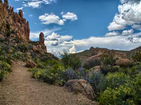 Trail to Balanced Rock in Big Bend National Park