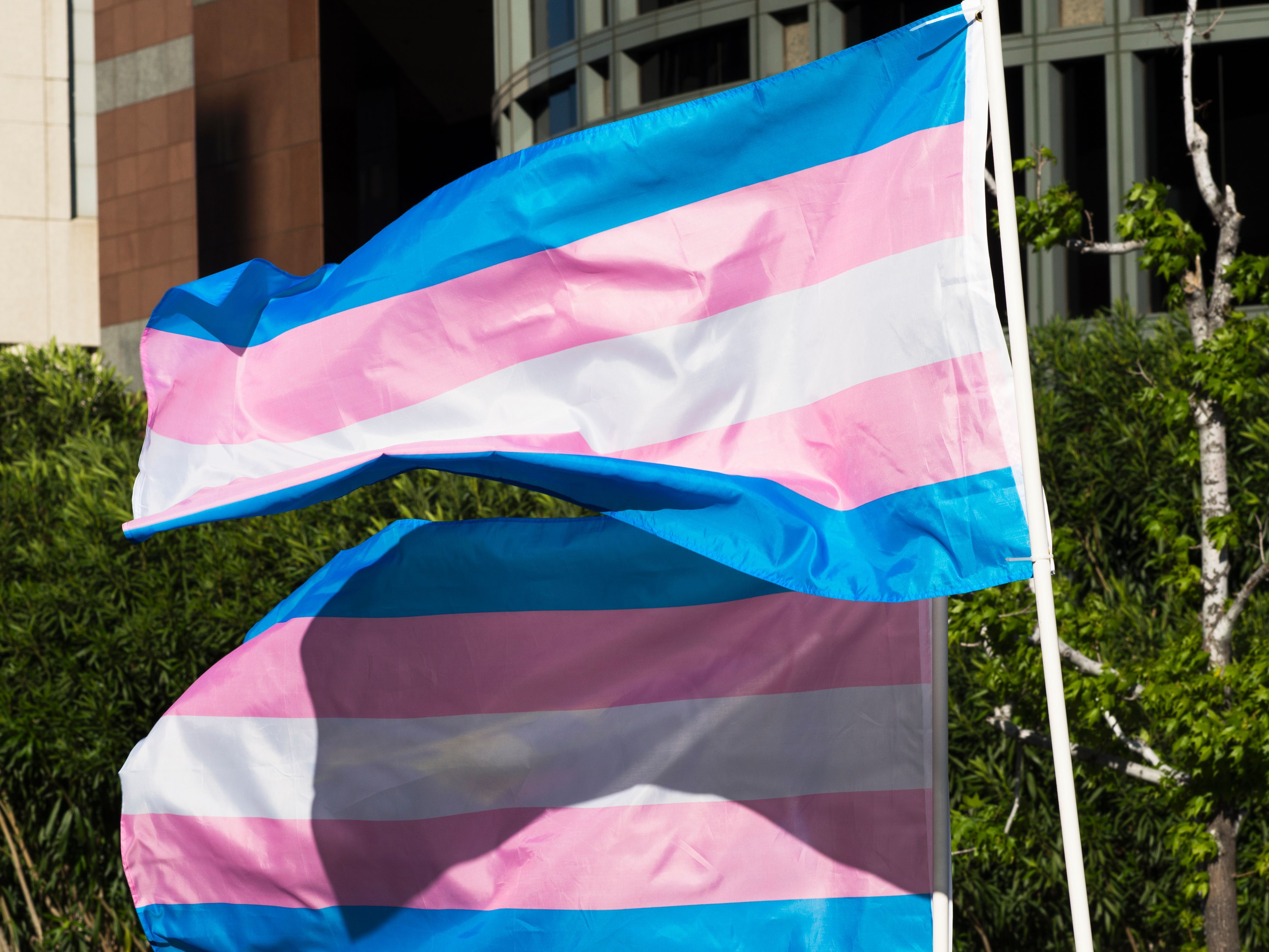 Transgender Flag Colors Meaning Behind Each One