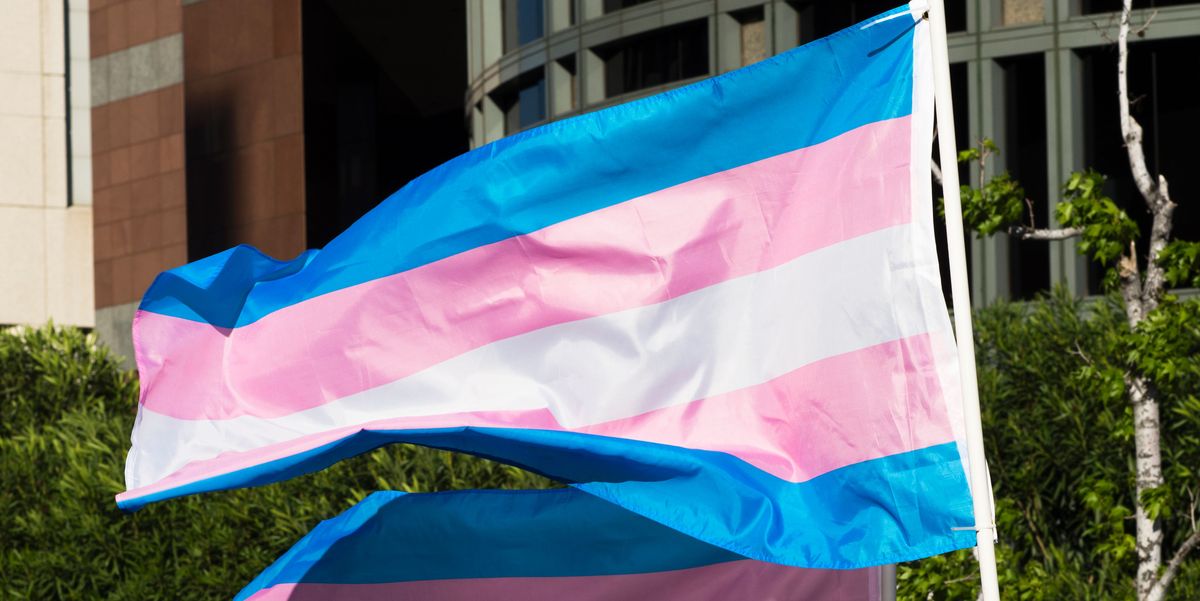 Transgender Flag Colors Meaning Behind Each One