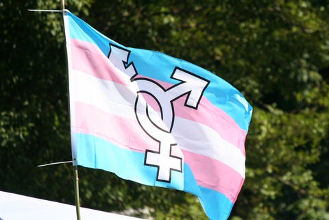30 Different Pride Flags And Their Meaning Lgbtq Flags Names 30 Different Pride Flags And Their Meaning Lgbtq Flags Names