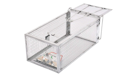 rat trap silver