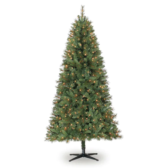 shortleaf black spruce, balsam fir, Columbian spruce, Colorado spruce, White pine, Tree, Yellow fir, lodgepole pine, Arizona Cypress, oregon pine, 