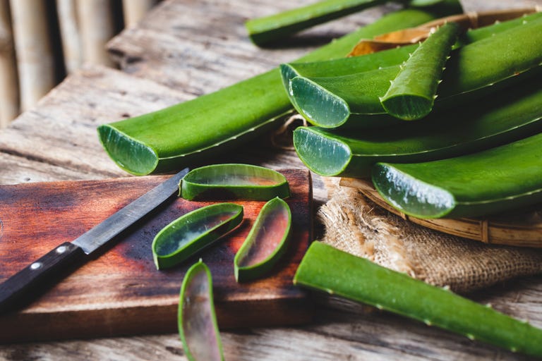 aloe vera treat mosquito bite