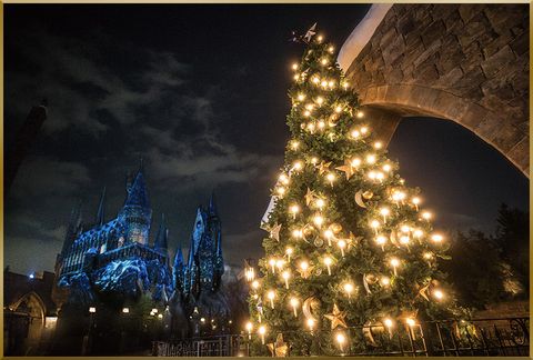 Christmas tree, Tree, Sky, Christmas decoration, Landmark, Christmas, Light, Lighting, Christmas lights, Architecture, 