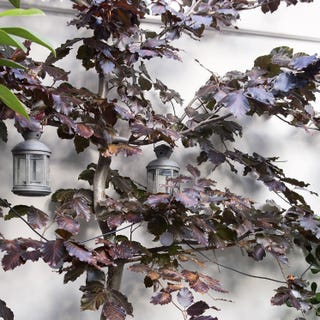 garden design garden design
