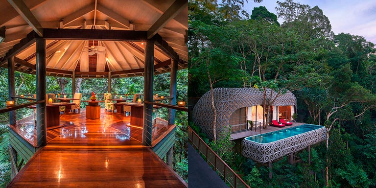 Treehouse hotels - Treehouses you can actually stay in