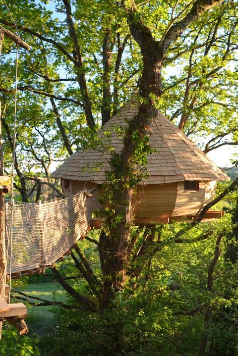 31 Amazing Treehouses You Can Rent In 2020 Best Tree House Vacations