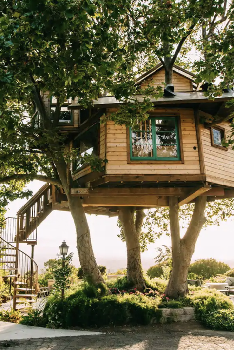treehouse with spiral staircase