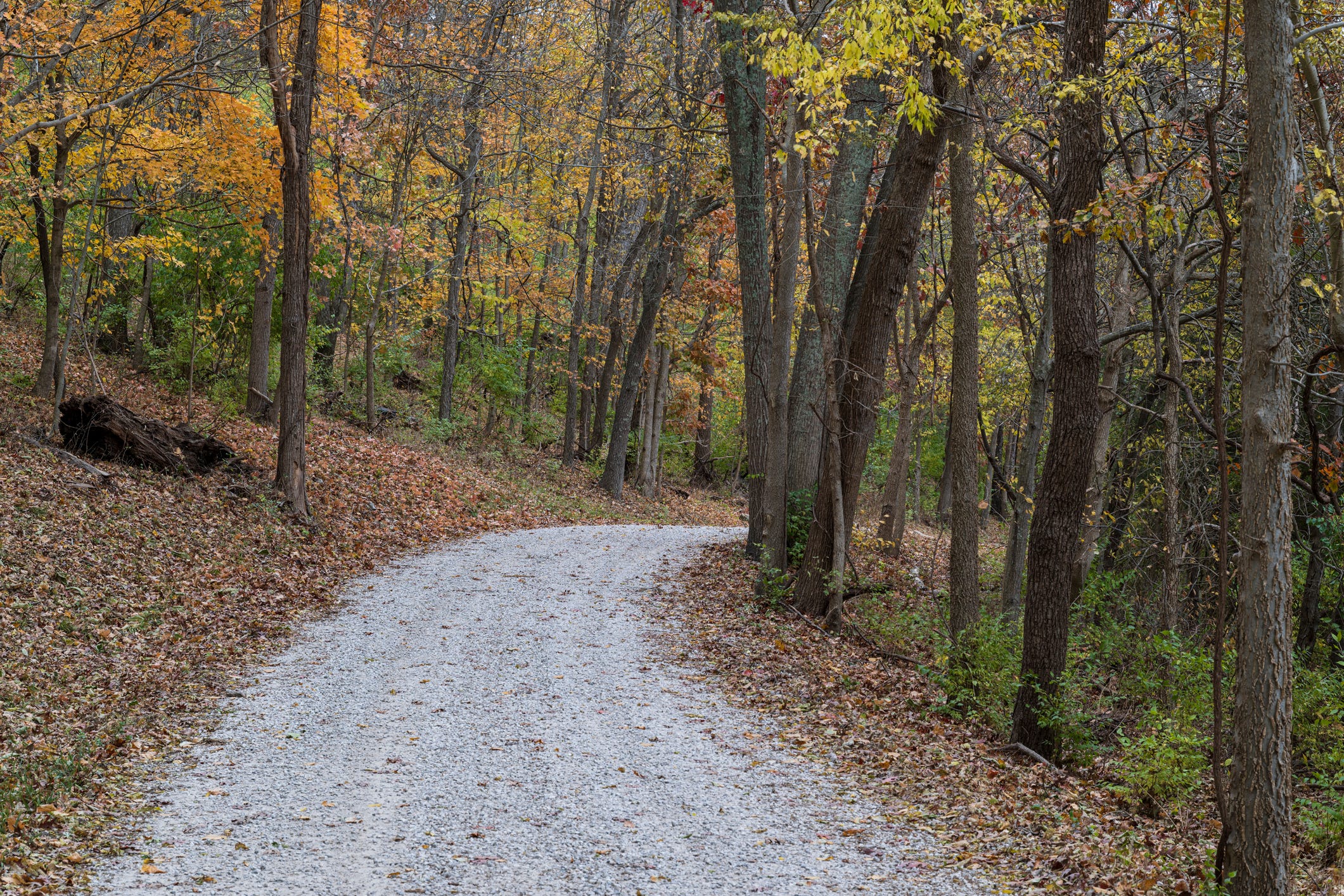 Runner Sues After He Was Shot By Hunter on Missouri Trail
