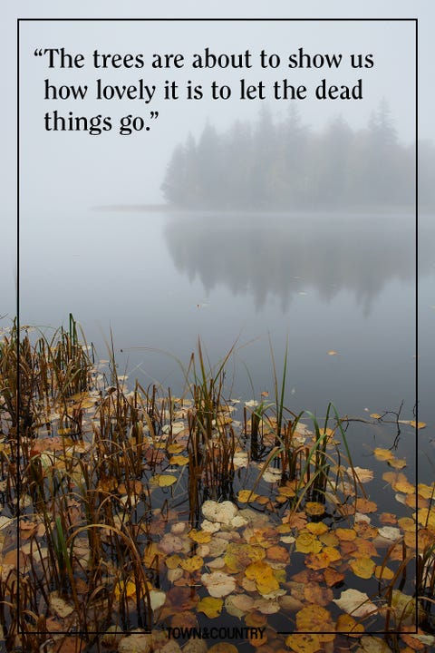25 Inspiring Fall Quotes Best Quotes And Sayings About Autumn 25 Inspiring Fall Quotes Best Quotes And Sayings About Autumn