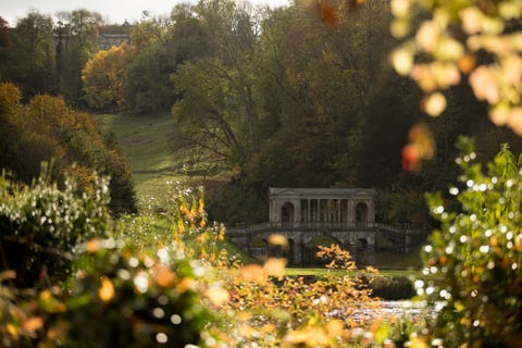 Autumn Colours Reach Their Peak In The UK