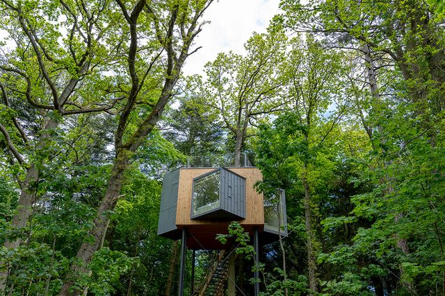 Un hotel para dormir en las alturas de un bosque en Dinamarca