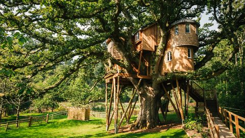 Treetops Treehouse - Devon - exterior - Canopy & Stars