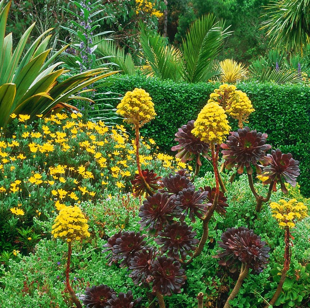 11 Best English Gardens To Visit Most Beautiful In England - Studley Flower Gardens 11 Best English Gardens To Visit Most Beautiful In England - Studley Flower Gardens