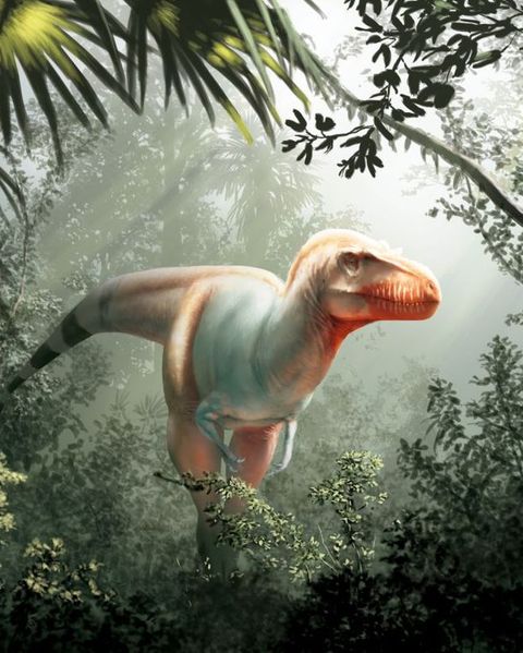 Download T Rex Ancestor This New Dinosaur Is Called Reaper Of Death