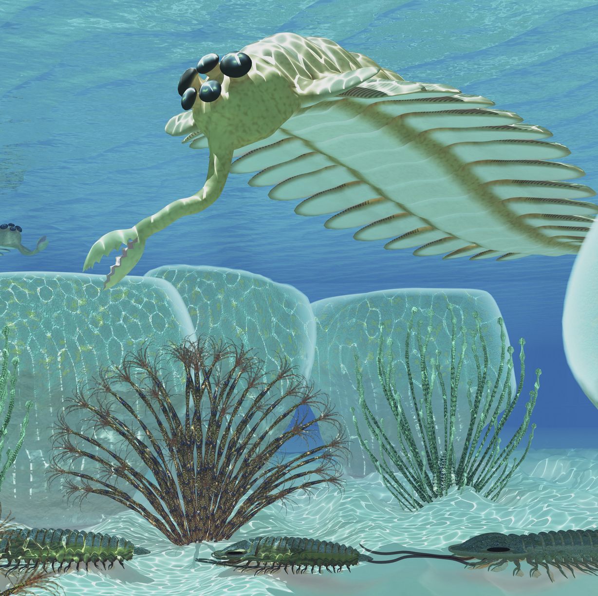 To Understand the Burgess Shale's 500-Million-Year-Old Fossils, We Imagined How They'd Taste