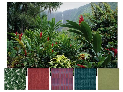 telas sunbrella de la selva tropical