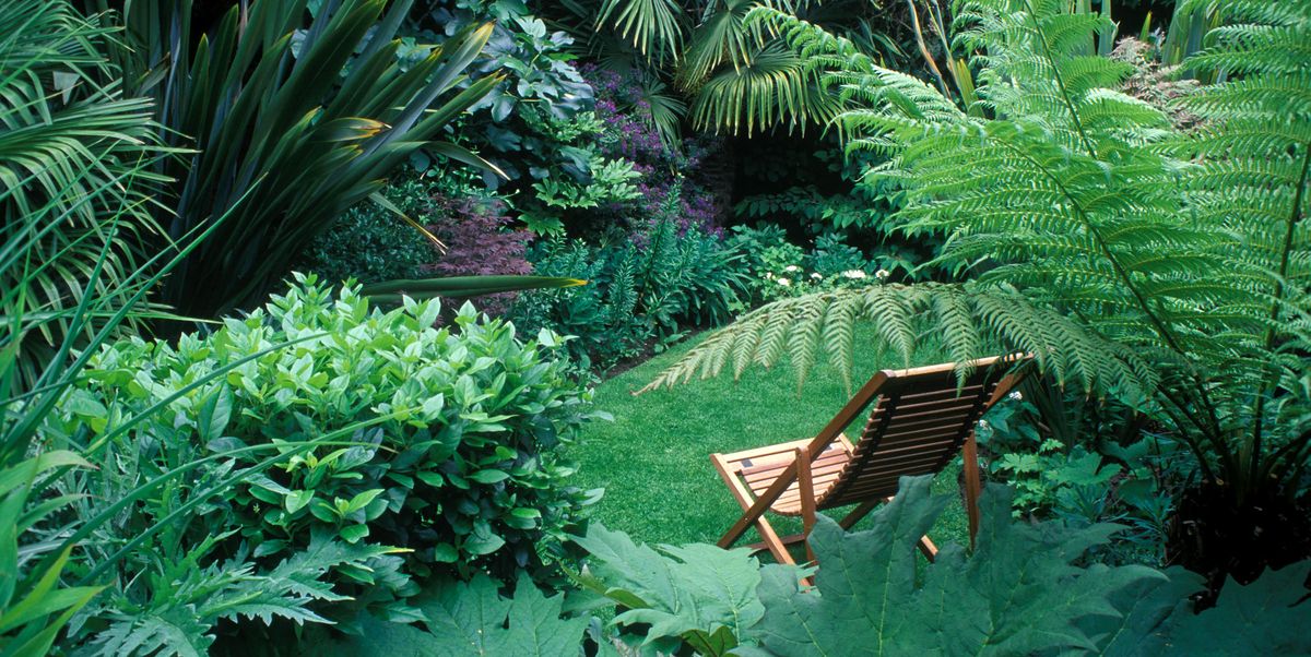 How To Make A Small Garden Look Bigger, Trees For Small Gardens Rhs