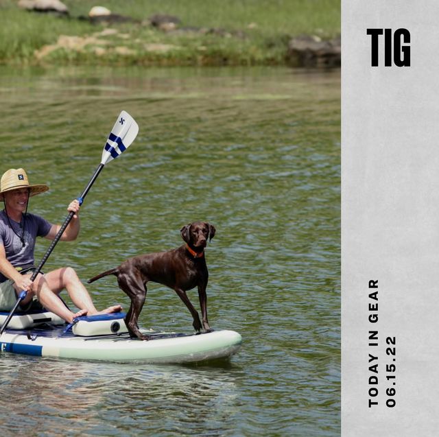 today in gear june 15 2022 man paddle boarding on river with dog using isle