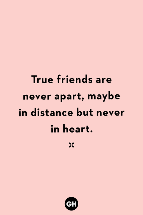 40 Short Friendship Quotes For Best Friends Cute Sayings About Friends