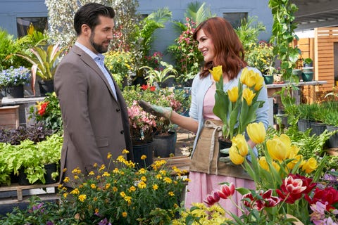 Hallmark's Spring Fever Movies 2019 - Cast, Premiere Date, and More