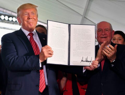 US-politics-TRUMP
