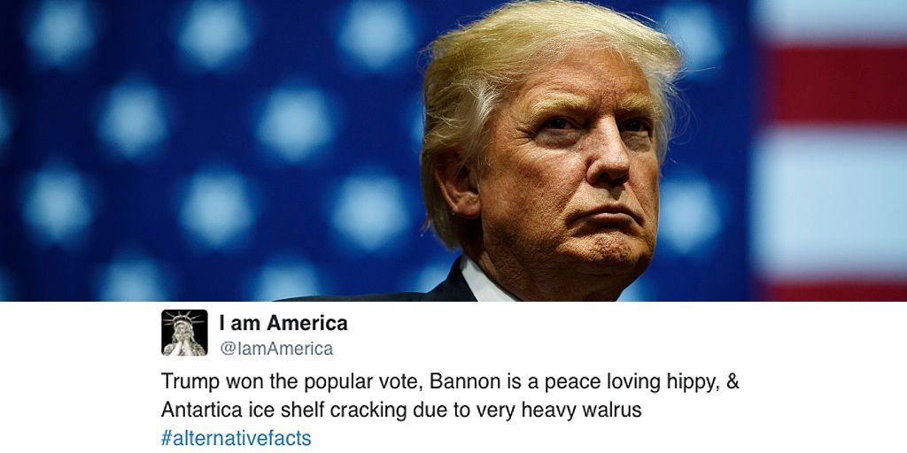 17 People Who Will Never Let Trump Forget He Lost The Popular Vote By 3 ...