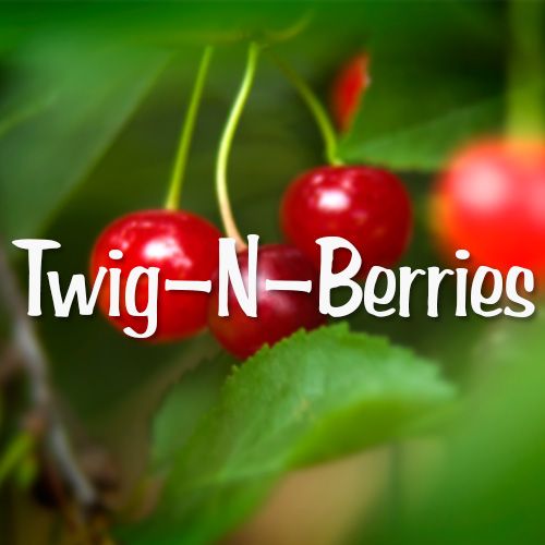 twig and berries