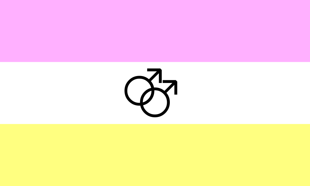 pink and black gay flag