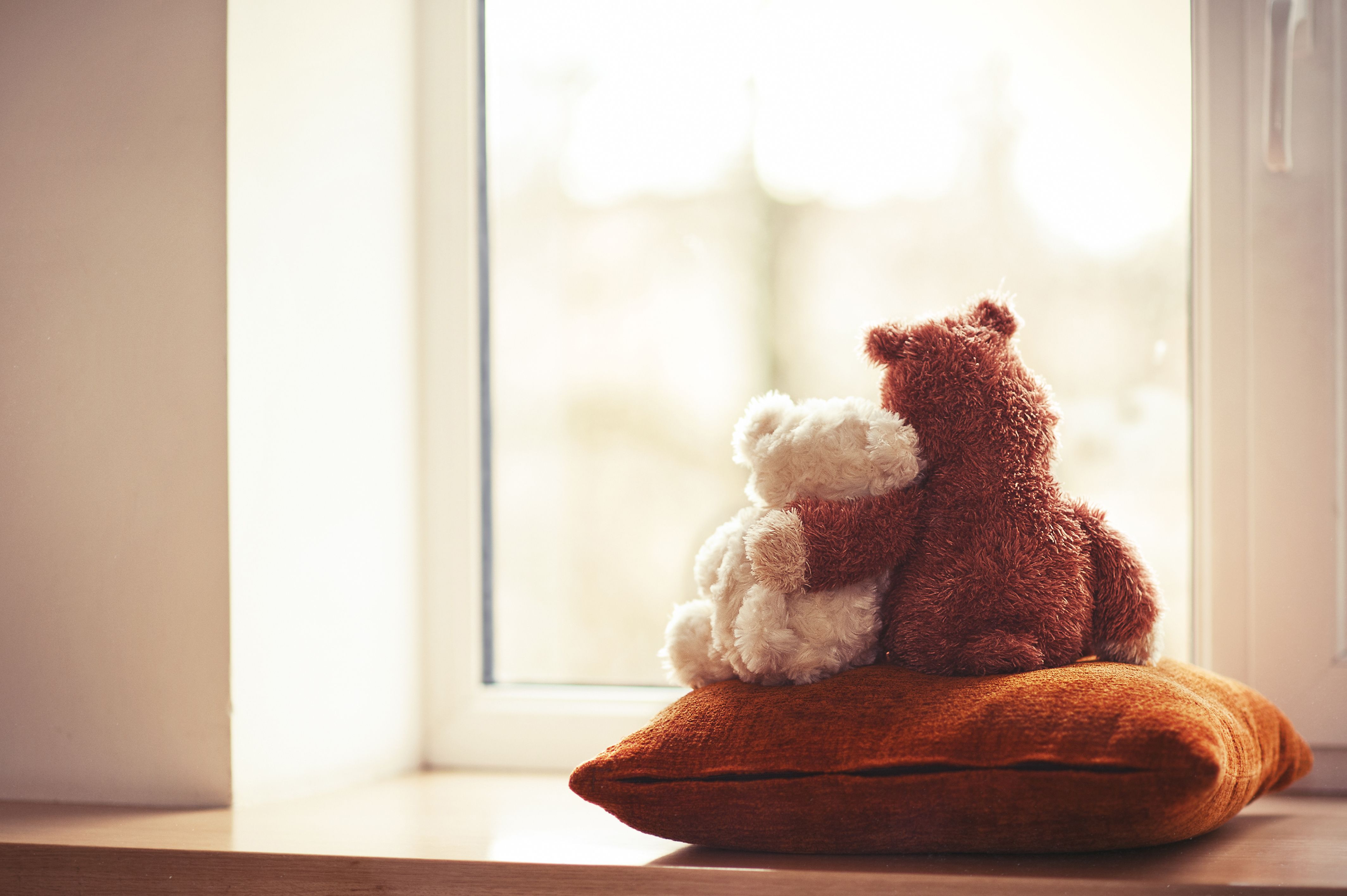 stuffed animals for adults with anxiety